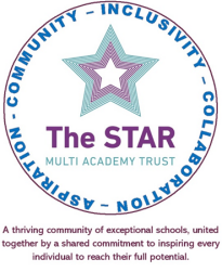 STAR CICA Logo